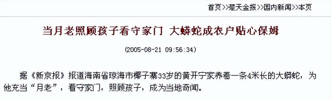 意外救下小蟒蛇1996年的一个夏天,海南椰子寨小伙子黄开宁,像往常一样