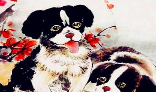 男狗 女虎:生活在一起是可以的,偶