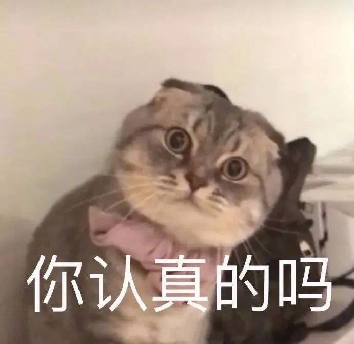 搞笑文案热门搞笑表情包我心爱的狗东西在吗