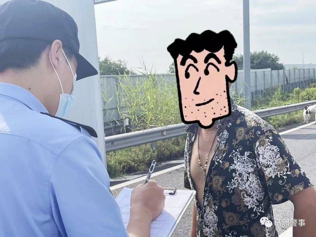 男子竟在靖江高速出口附近放羊?_羊儿_大哥_只山羊