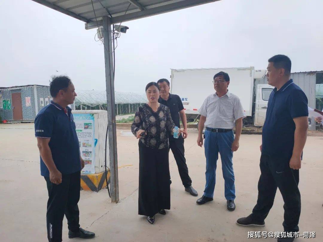 牡丹区政府副区长副总林长郑巧玲开展巡林活动