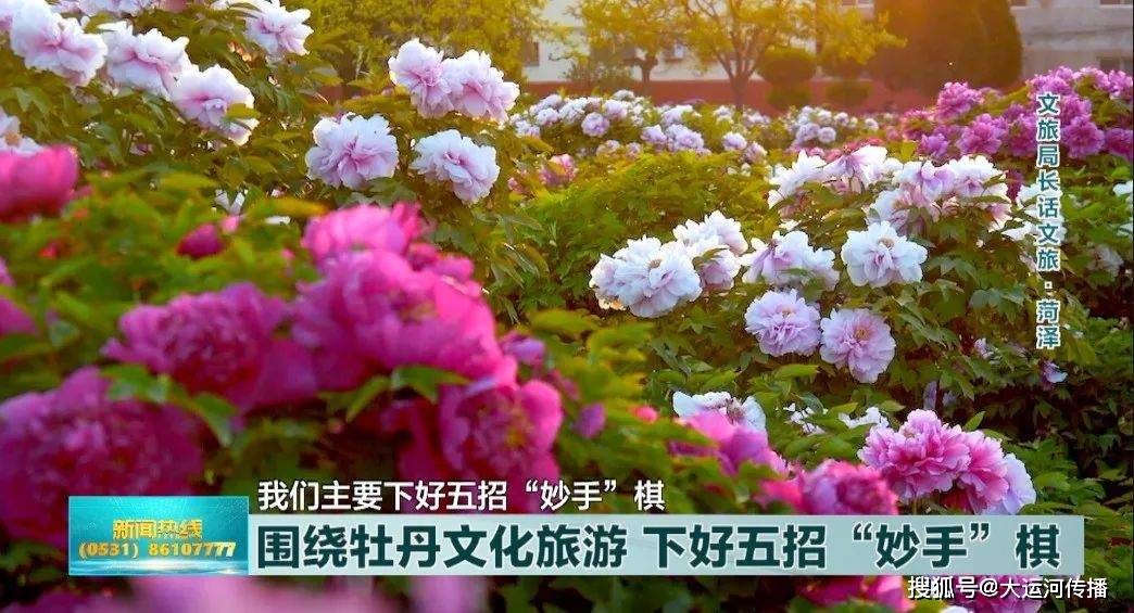 菏泽市文旅局局长刘芸:下好五招"妙手"棋 持续擦亮"中国牡丹之都"品牌