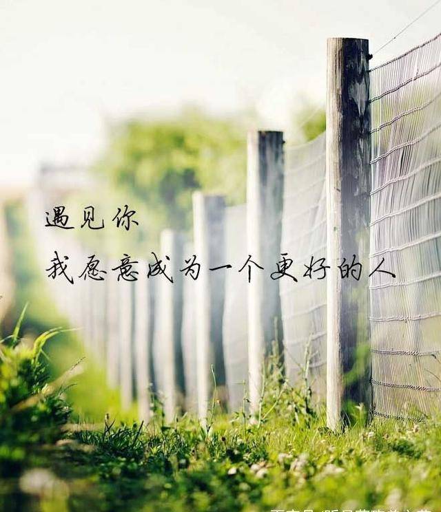 有缘再会错过的爱人