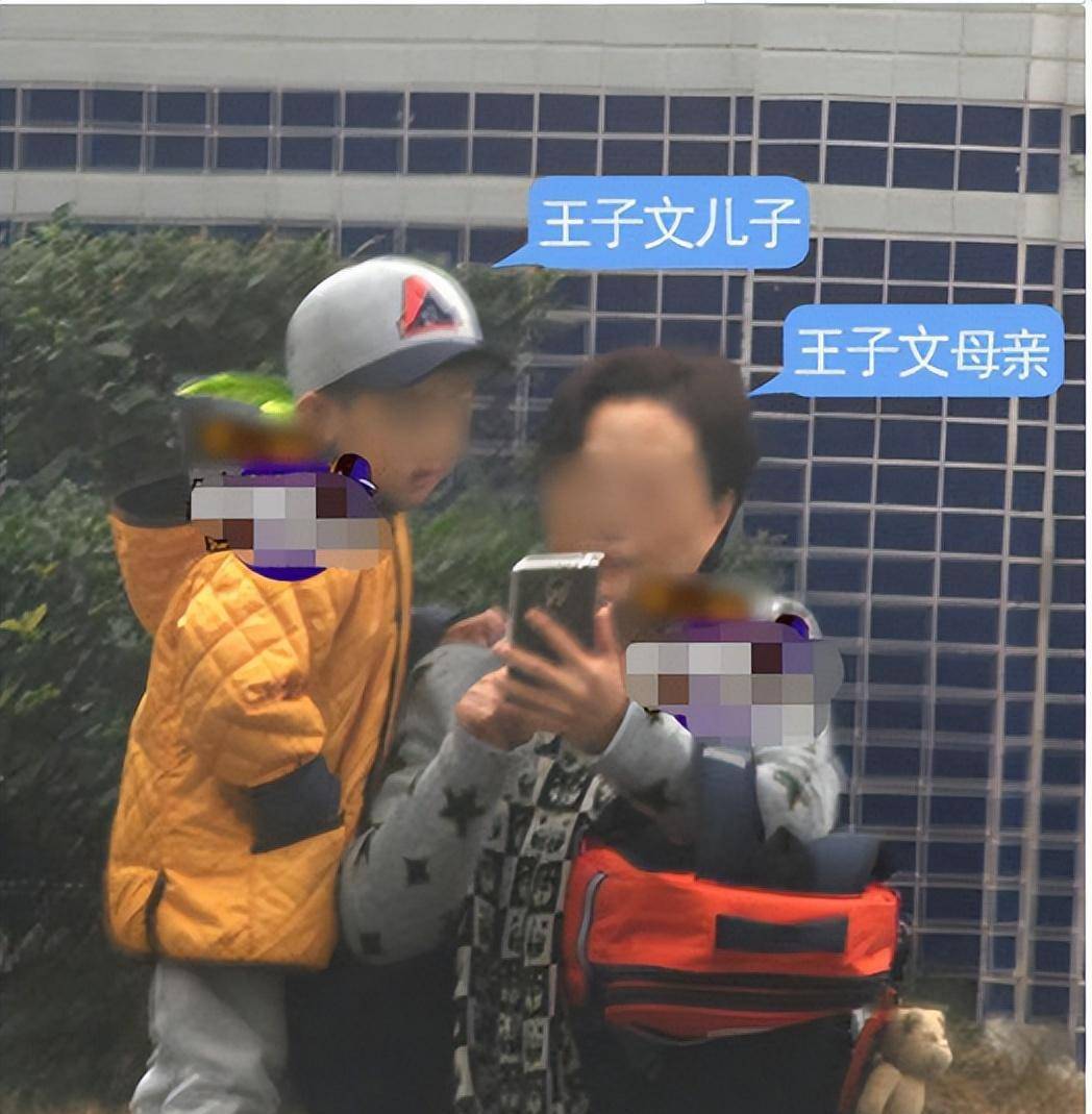 原创高端玩家王子文王朔为她赎金孩子生父成谜用大牌嘲讽贾玲