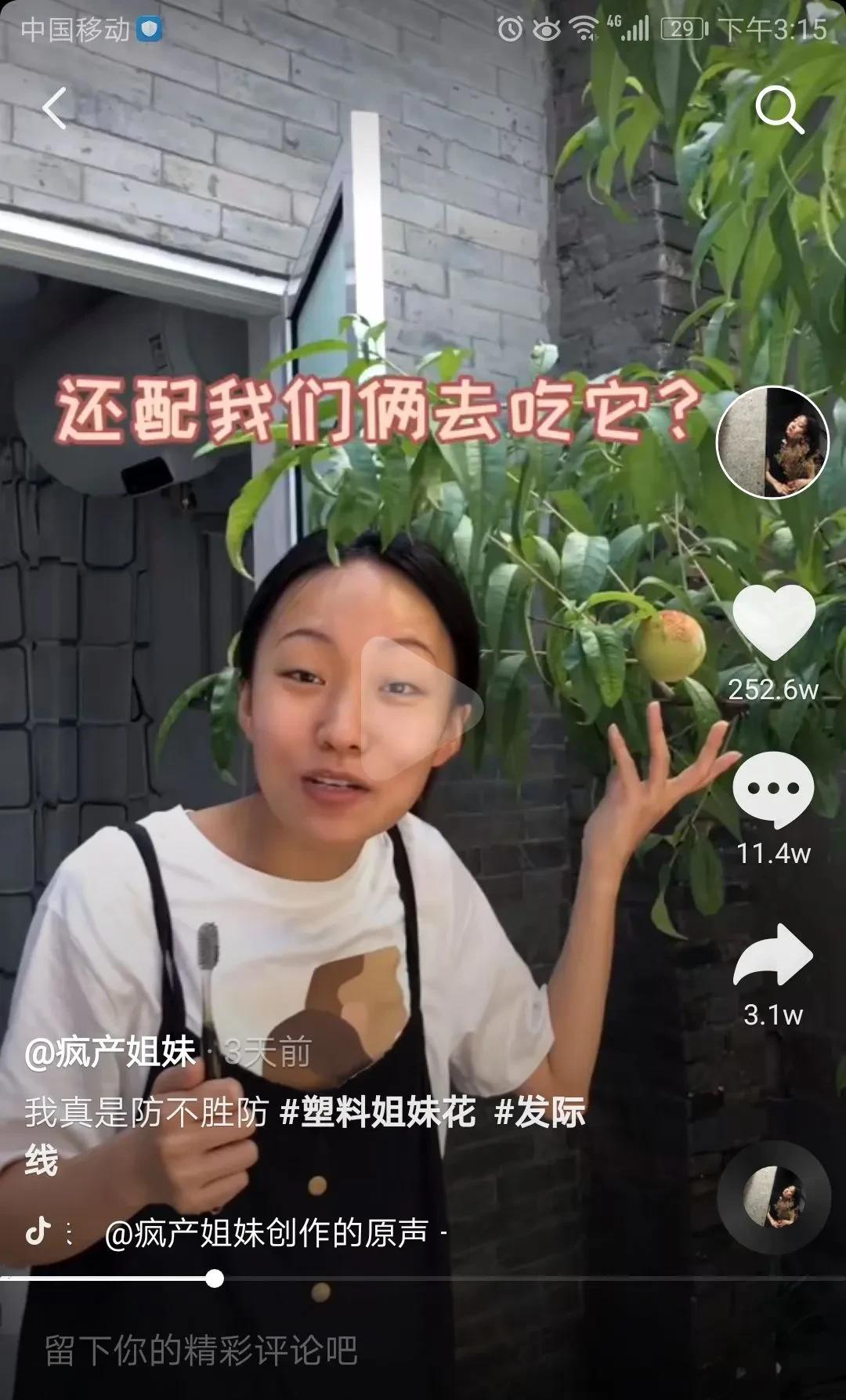 网红疯产姐妹宣布解散_张小花_生活_组合