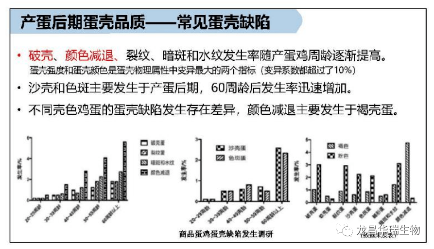 你算过吗，蛋壳破损率高会给鸡场形成几丧失？那6个原因必然要引起重视！