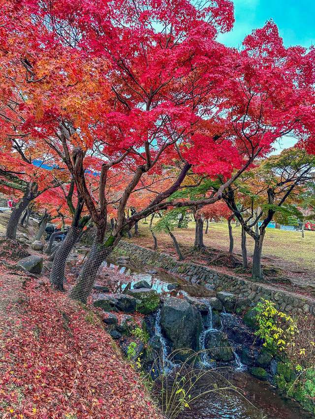 日本奈良东大寺，全世界现存更大的木构建筑，1200年的唐风遗韵