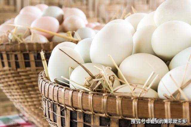 同样是蛋，鸡蛋、鸭蛋、鹅蛋各种蛋有啥区别？知道后别再吃错了