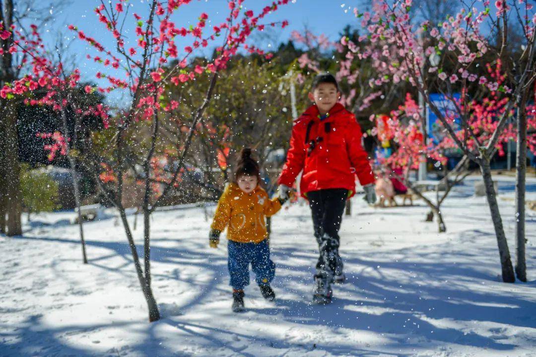 冰瀑美成了“冰水母”！济南的冰雪玩耍地大集合来啦~竟然有那么多？！