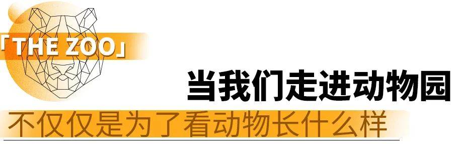 想把动物园逛大白？你需要GET一些“正儿八经”的常识