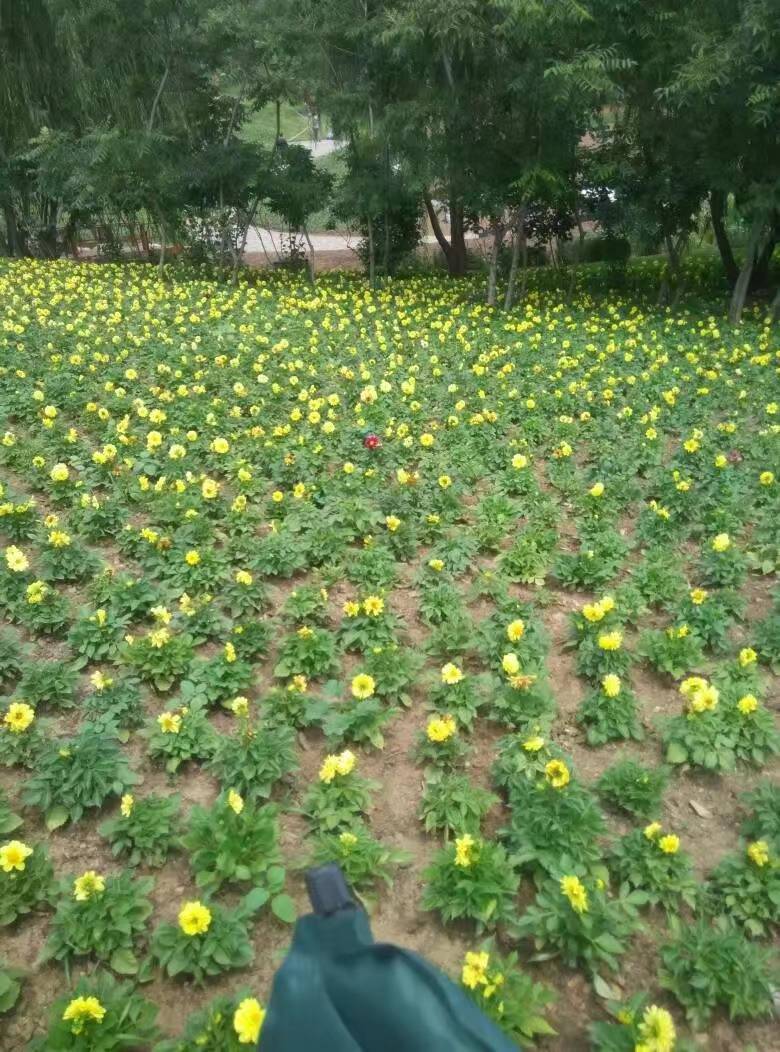 原创
            在职场中，会说话，真的比有能力 