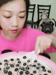 搞笑GIF：想要独享美食吗？你有没有看到你背后汪星人的小眼神