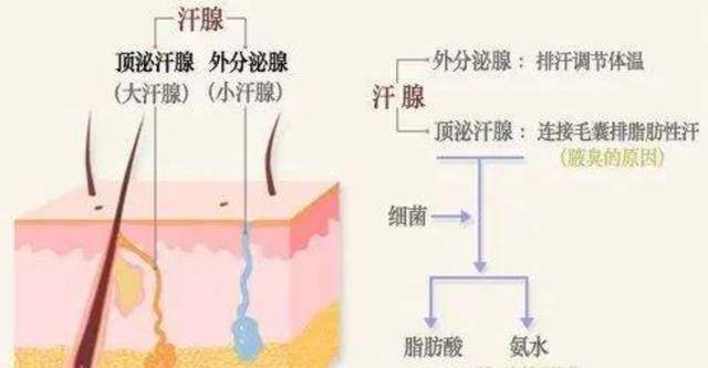 从科学角度阐发，冻死和热死，哪一种更好受一些？