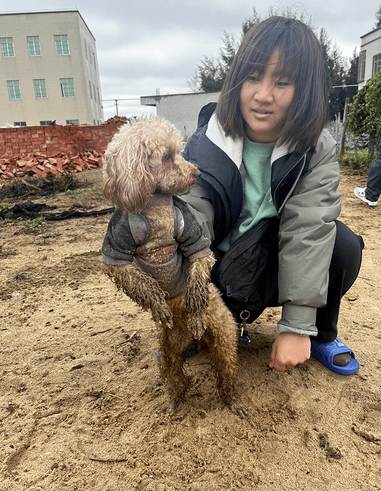 第一批回村的狗都如何了？