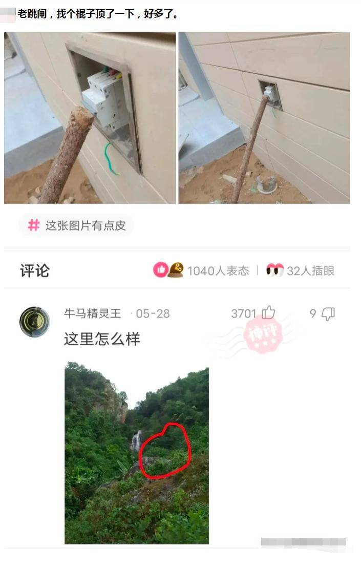 搞笑评论：挑战全网！若是有人晓得我的名字我会吃掉我头上的键盘