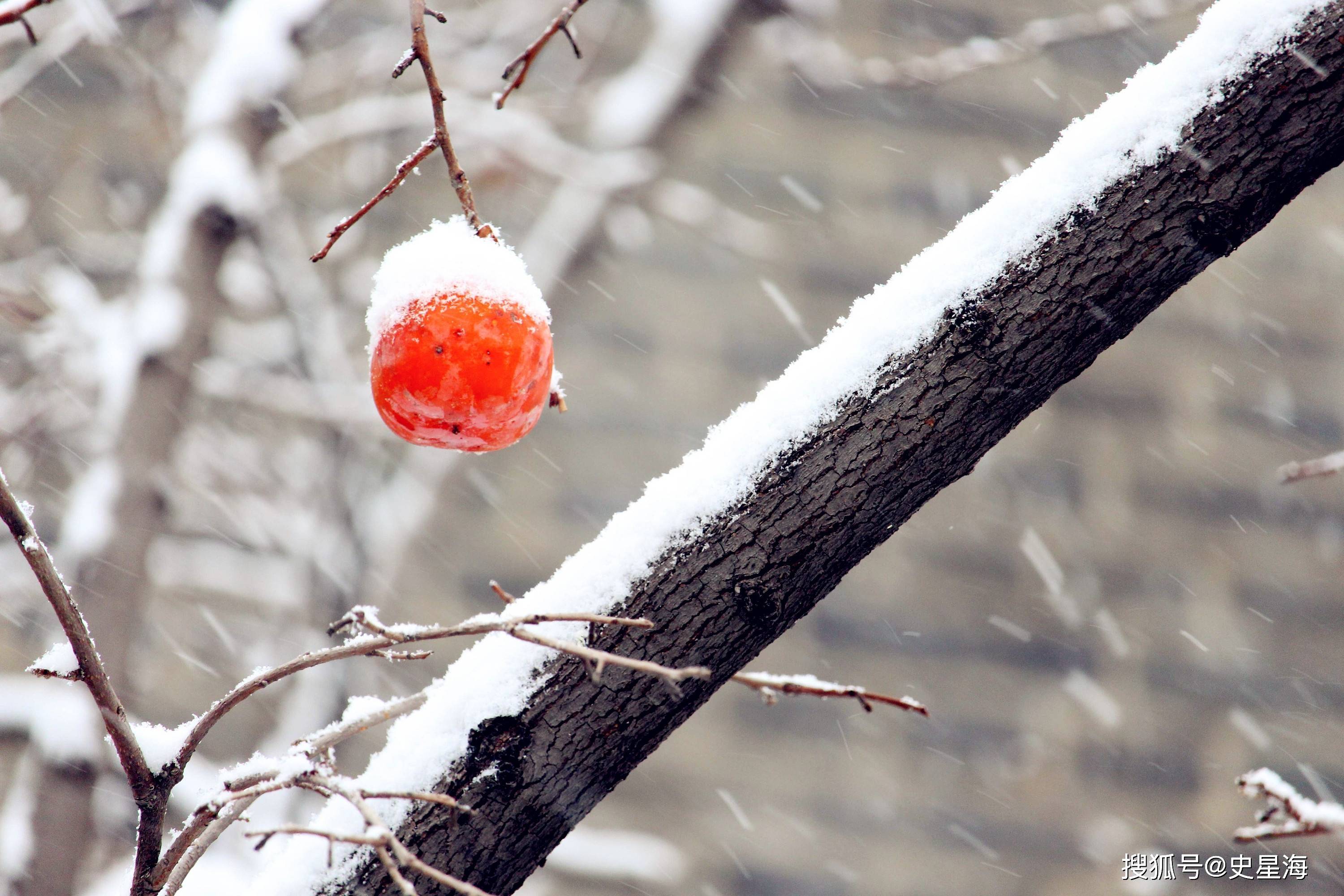 雪花，送给新春佳节最美的礼品