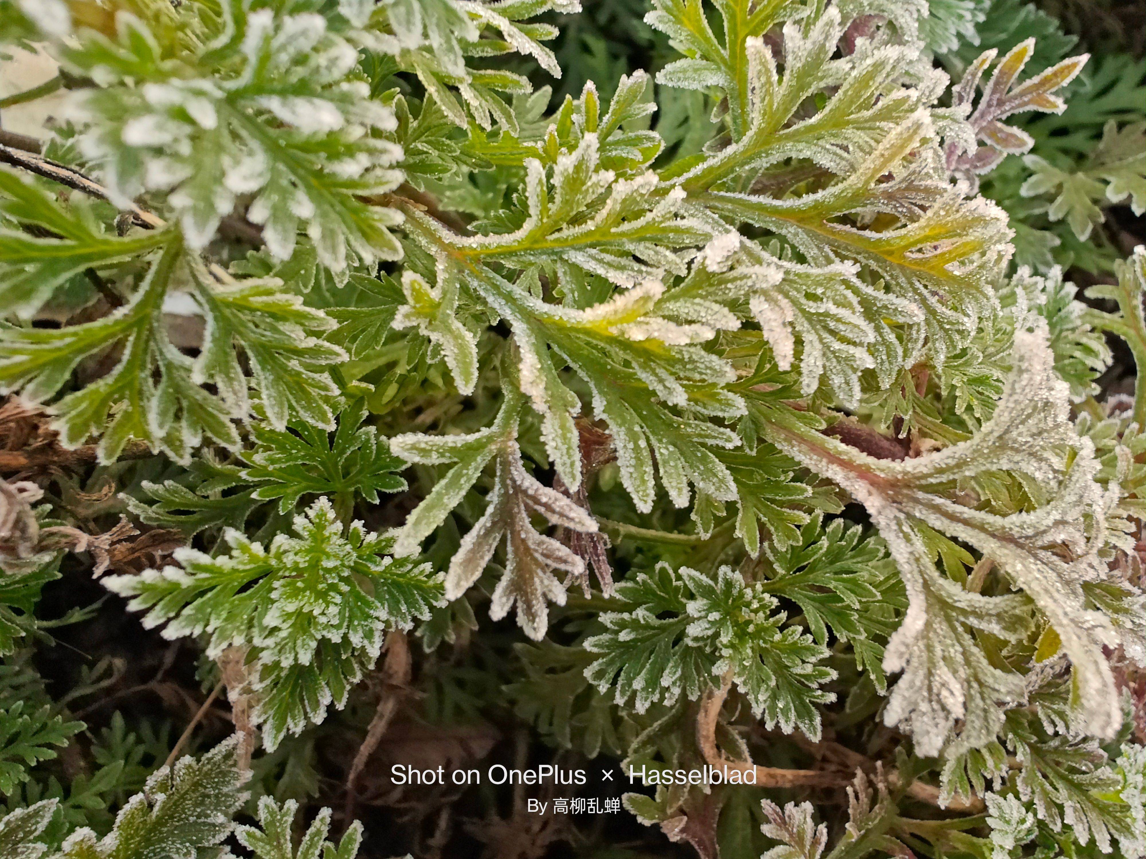 新年新气象，4款好物助你节后快乐返工