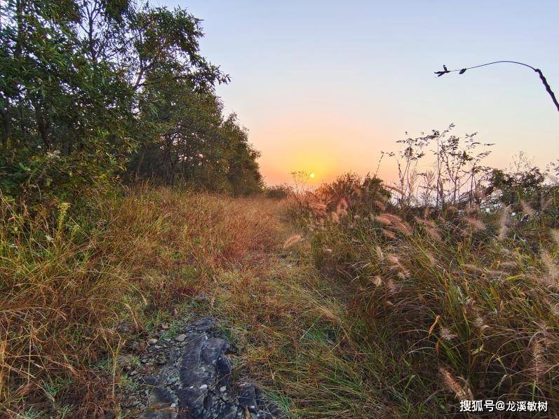 千古文明的对话——走进山东栖霞方山远古不雅象祭祀遗址