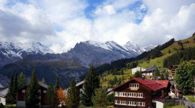 ��ʿ������㲻����Ʊ���³�Ʊ�۸ߴ�800��Ǯ���ο�ȴ��������