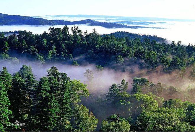 小兴安岭，亚洲东北部兴安岭山系西北－东南走向山脉之一