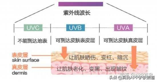 青春痘印能自我淡化？网友：别做梦了，不防晒就等着满脸黑点吧