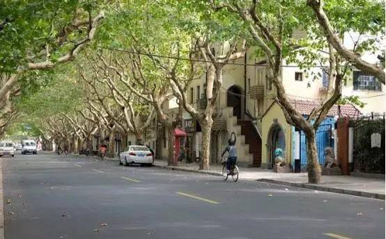 �����Ϻ�ʮ�����죡�����û���뵽��һλ��