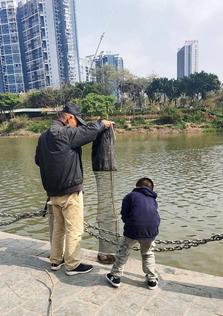 大片！钦州市区那些花海美哭了！你带着她，她带着丝巾