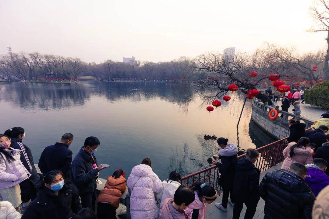 太便利了！家门口乘坐景区畅游专线去“小泉城”免费撸羊毛！