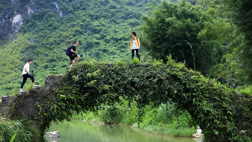 精选15个小而美的油菜花欣赏点，媲美婺源罗平，周末不负好春光