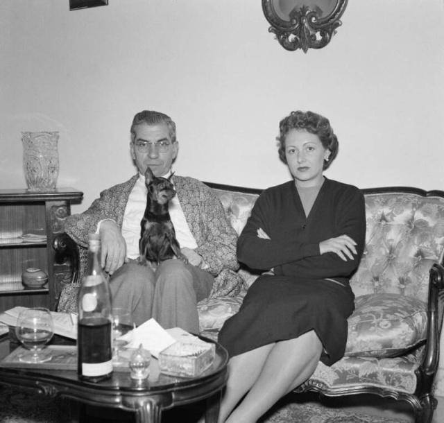 �����ǡ�¬����ŵ��Ӱ������Խ�ȶ��Ǵĵ������ڰ�̸�