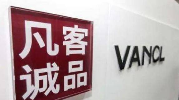 开云体育 开云平台电商巨头的陨落？曾拥有8千万用户市值200亿的公司今连年亏损？(图3)