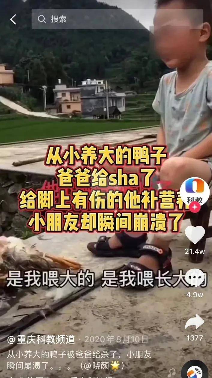 我的伴侣是爸爸筹办的，上桌的