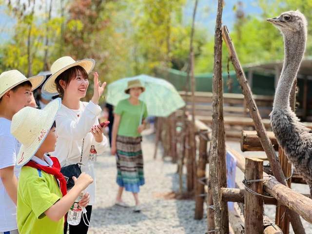 四川健博会探秘之：中医药安康旅游篇