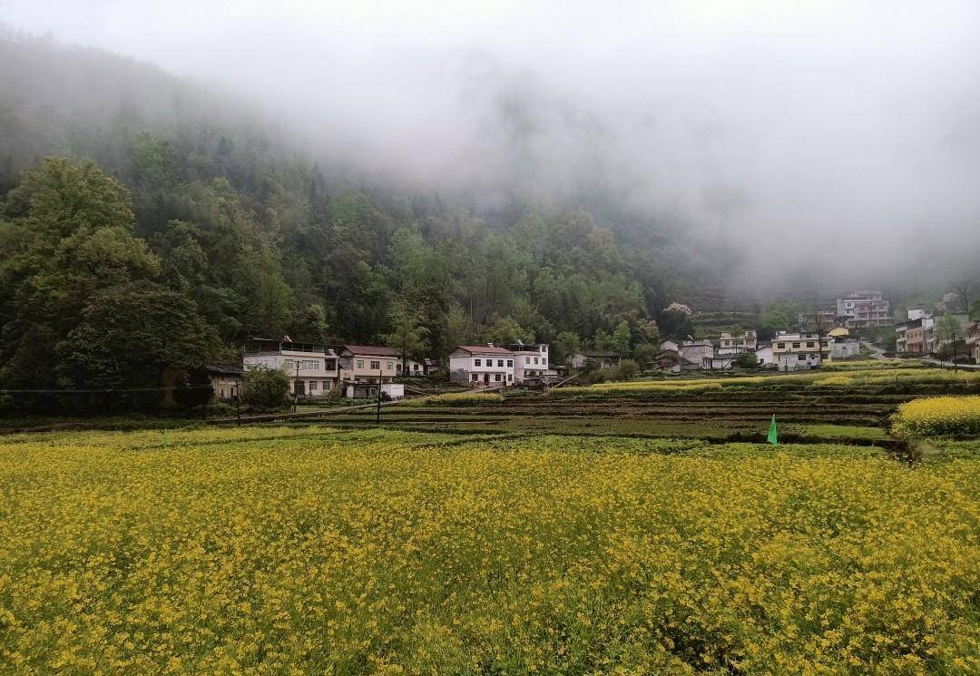 乘坐开往秦岭云烟深处的火车，抵达十里花海村子，仙气飘飘太美了