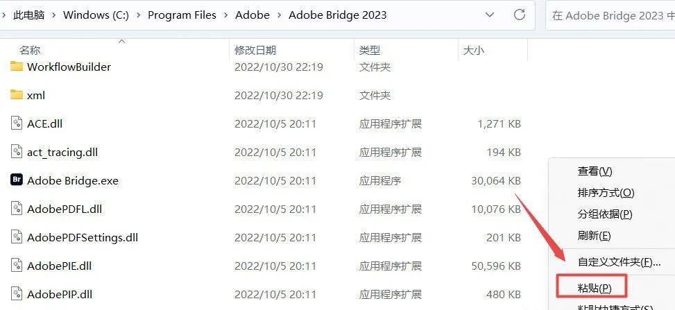 数码资产办理软件Br 2023：Adobe Bridge软件最新中文版下载安拆激活教程