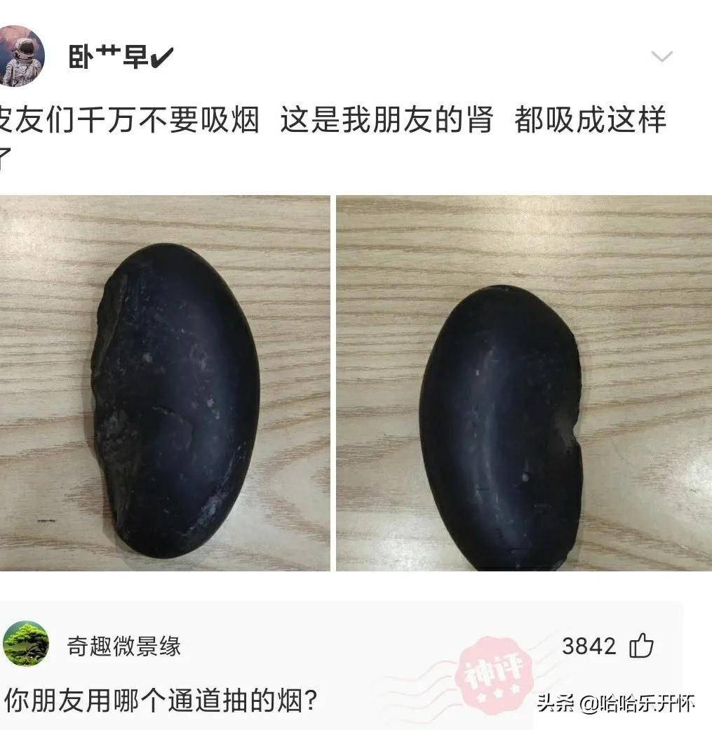 神评爆笑合集：给孩子买的礼品，他仿佛不太高兴哈