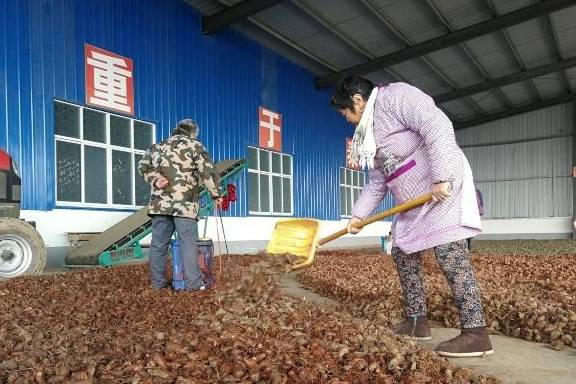 农村人搞种植，容易跟风不赚钱，记住3点要素，就能利于不败之地