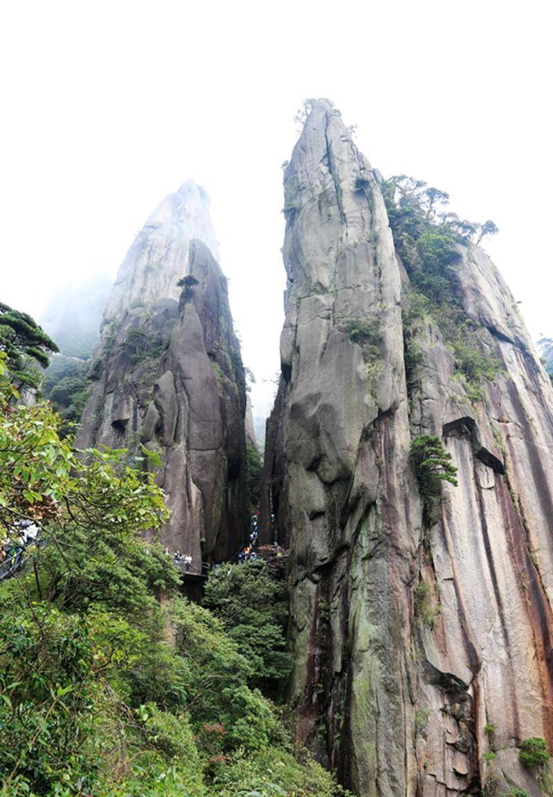 三清山：奇峰怪石、古树名花、流泉飞瀑、云海雾涛