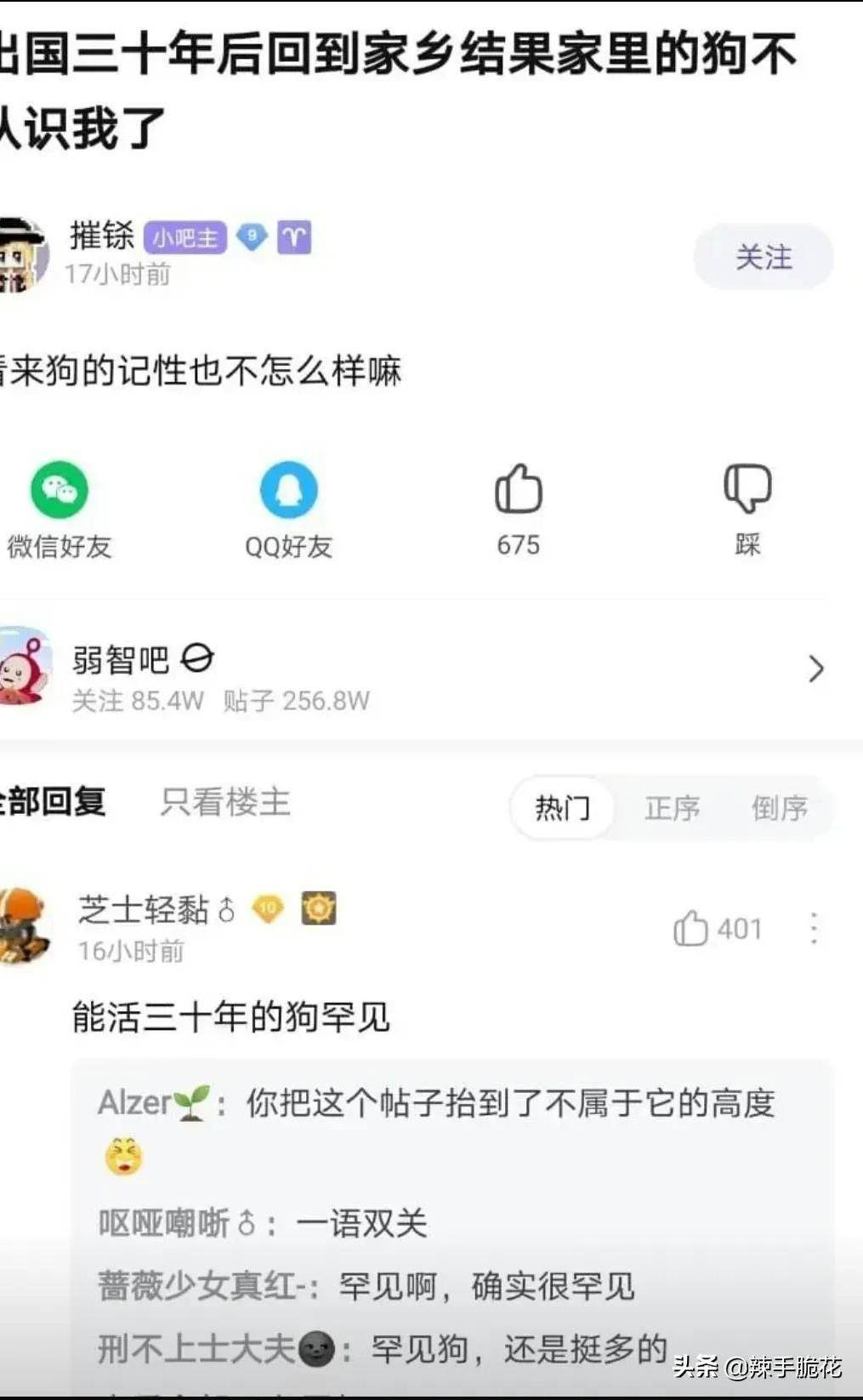 网友：我不领会概率，但我领会酒鬼