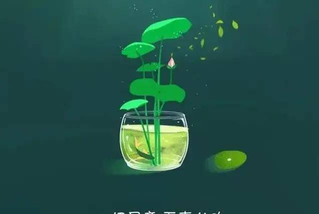 一小我更好的风水，是有一张不伤人的嘴