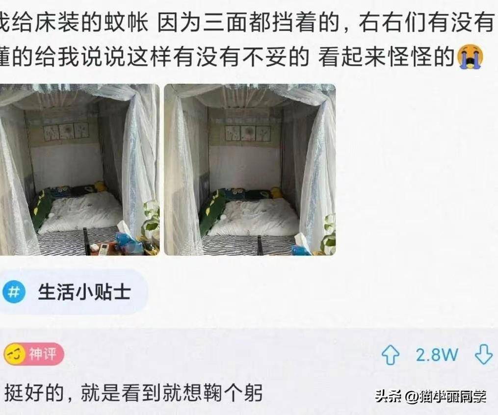 搞笑合集：兄弟让我花钱试探他女伴侣，总觉得要出事呀哈哈哈！