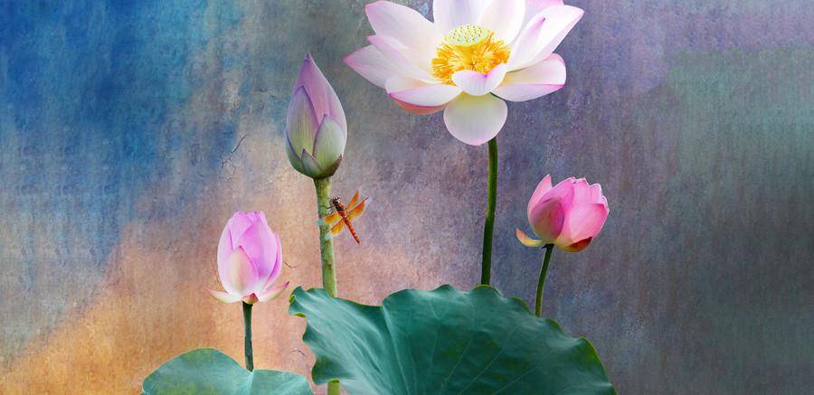 财神取名:金九银十,三月聚财,三生肖财运无限 财神取名:金九银十,三月聚财,三生肖财运无限