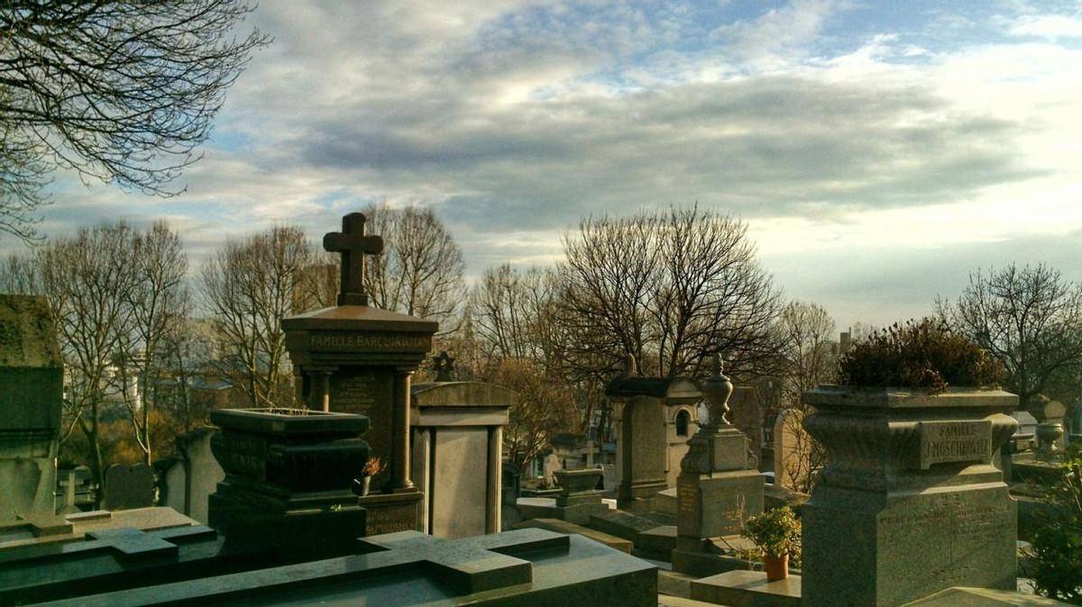 �Զಿ��ӰΪ����������Ӱ��Ŀ�����Լ�Ƭβչ��֮��Ĺ�ϵ ...