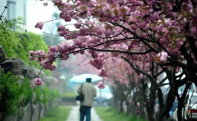 易烊千玺新片子《小红花》取景地就在那海滨老城，有空去生活几日