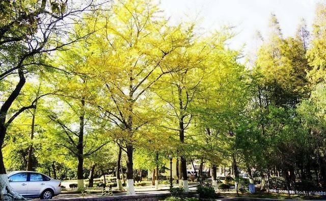 �й���������֮һ���С������������ݡ��ļ������ο�ֱ���� ...