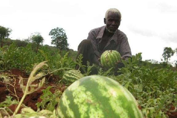 �������Ƿ����˵�����Ʒ���й��˴�ȥ��ֲ�������ܶ��˸��� ...