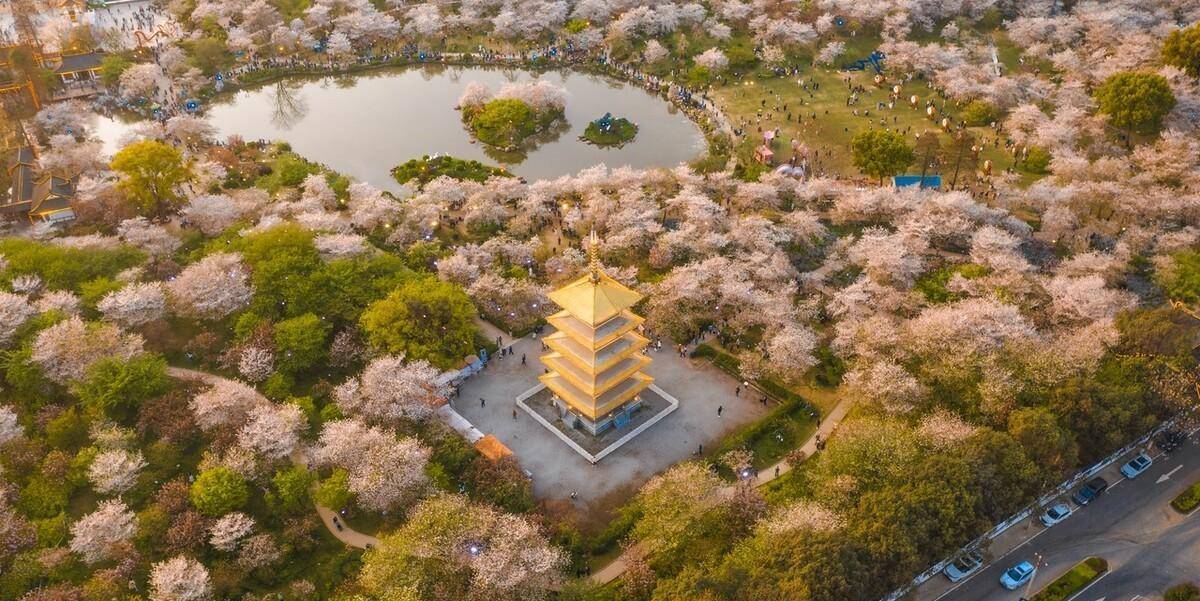 春日踏青，去寻找国内最美的十个赏花地