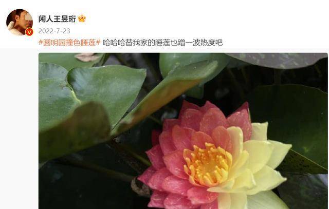 ���١���ɱ���������ˣ�����������������ͨ�˻������