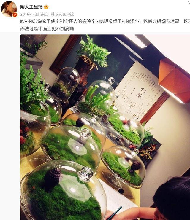 ���١���ɱ���������ˣ�����������������ͨ�˻������