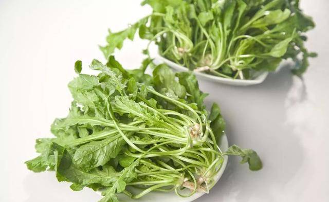 「小南夜读」早春荠菜香